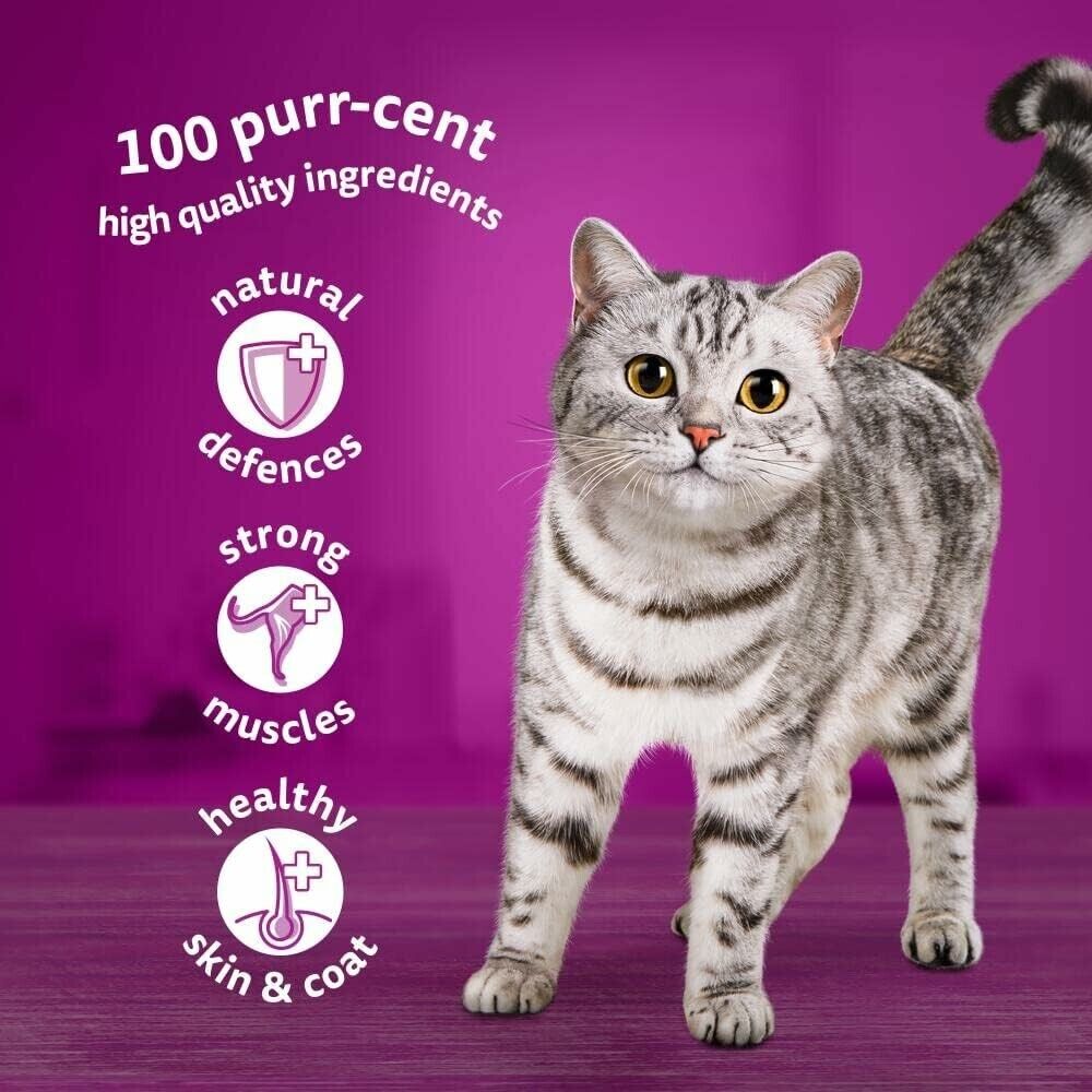 Whiskas Poultry Adult Wet Cat Food in Jelly Pouches 1+,40 x 85g