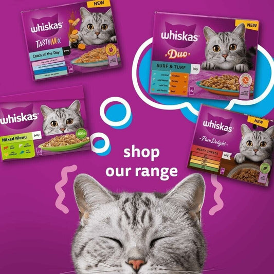 Whiskas Poultry Adult Wet Cat Food in Jelly Pouches 1+,40 x 85g